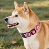 QQPETS Adjustable Soft Dog Collar: Print Flower Pink Multicolor Cute