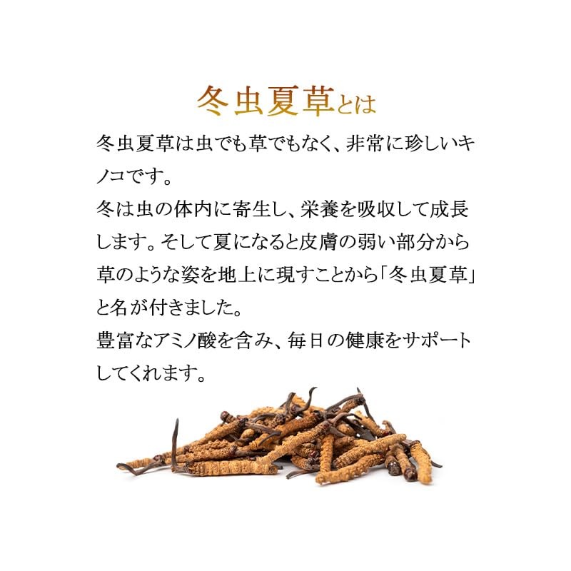 Lipsa C-181-3 Midnight Summer Plant, Approx. 1 Month Supply x