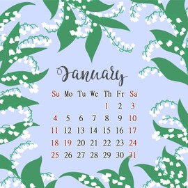 2026 CD-Style Desk Calendar 12 Months Calendar/Planner/Desk Calendar With CD Case Stand, Office Decor, Christmas Gifts (Edition #027)