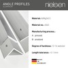 nielsen Aluminium L-Shaped Angle Profile, Matt Anodized, 2000x10x10 mm, Thickness