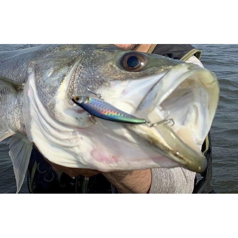 TrefleCreation Mariella 68S #Trefluayu