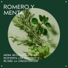 Aveda Rosemary Mint Acondicionador Ligero Cabello Fino