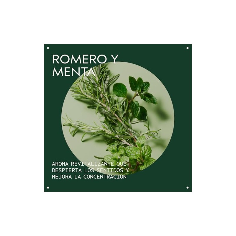 Aveda Rosemary Mint Acondicionador Ligero Cabello Fino