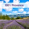 OLILLY 2022 HARVEST - Sachets of Lavender from Provence –
