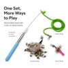 ZAYLUMO Cat Wand Toy Set, Retractable Stainless Steel Wand with
