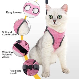 Heywean Cat Harness and Leash - Ultra Light Escape Proof Kitten Collar Cat Walking Jacket with Running Cushioning Soft and Comfortable Suitable for Puppies Rabbits (L, Pink)