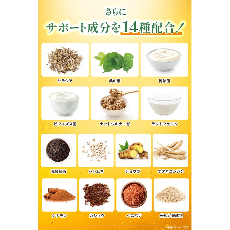 【医師・管理栄養士W監修】 イヌリン 菊芋 サプリ 53000mg/袋 水溶性 食物繊維 乳酸菌 キクイモ きくいも