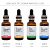 Serum Facial Derma Coreano_ Vitamina Y Ceramida_ Reafirmante