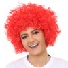 Hatstar Curly Afro Clown Wig for Carnival and Fancy Dress