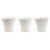 J-kitchens Izan Kiln Cup (Tea Cup), Set of 3, Hasami