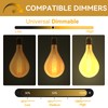 Jslinter Oversized Incandescent Light Bulb 60 Watt, PS52/PS160 Edison Bulb