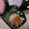 YUYAKESHI Case, Bag, Pain Bag, Dustproof, Sewn Pouch, Going Out,