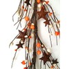 Evron International N128 Orange and Cream Primitive Pip Berries Garland with Rusty Stars