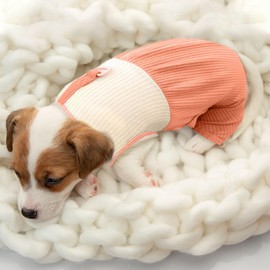 TENGZHI Dog Pajamas Small Dog Shirt Clothes for Girls Boys Cute Puppy Cat Outfits Onesies with Leash Ring Pet Dog Kitten Overalls Jumpsuits for Yorkie Chihuahua Teacup Romper Clothing Apparel, Orange