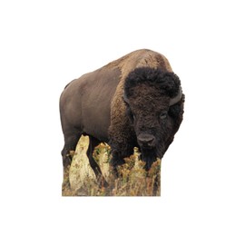 Cardboard People Bison Life Size Cardboard Cutout Standup