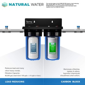 iSpring F2WGB21BPB Whole House 4.5"x10" Water Filtration CTO Carbon Block and Lead Reducing Water Filter Replacement Cartridge Pack Set