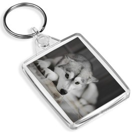 Beautiful Siberian Husky Keyring - IP02 - Dog Puppy Alaskan Malamute #8636