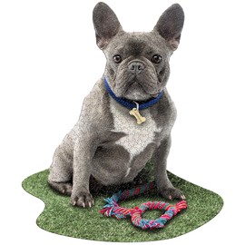 Madd Capp: I Am Frenchie - 550 Piece Puzzle - Dog Shaped Animal Jigsaw, 25 x 30 Assembled Size, Poster Reference, Educational Fun Fact Booklet