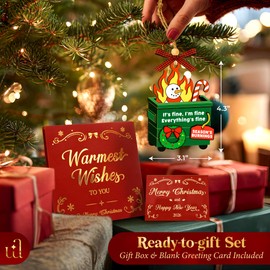 Woodamore Dumpster Fire Ornament 2025 - Its Fine Im Fine Everythings Fine Ornament for Xmas Tree Decorations, Funny Work Christmas Ornaments for Gift Exchange Ideas, Hilarious Dumpster Fire Gifts