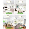 zemty 2Pack LED Ceiling Light Golden - 12In 28W Aureate