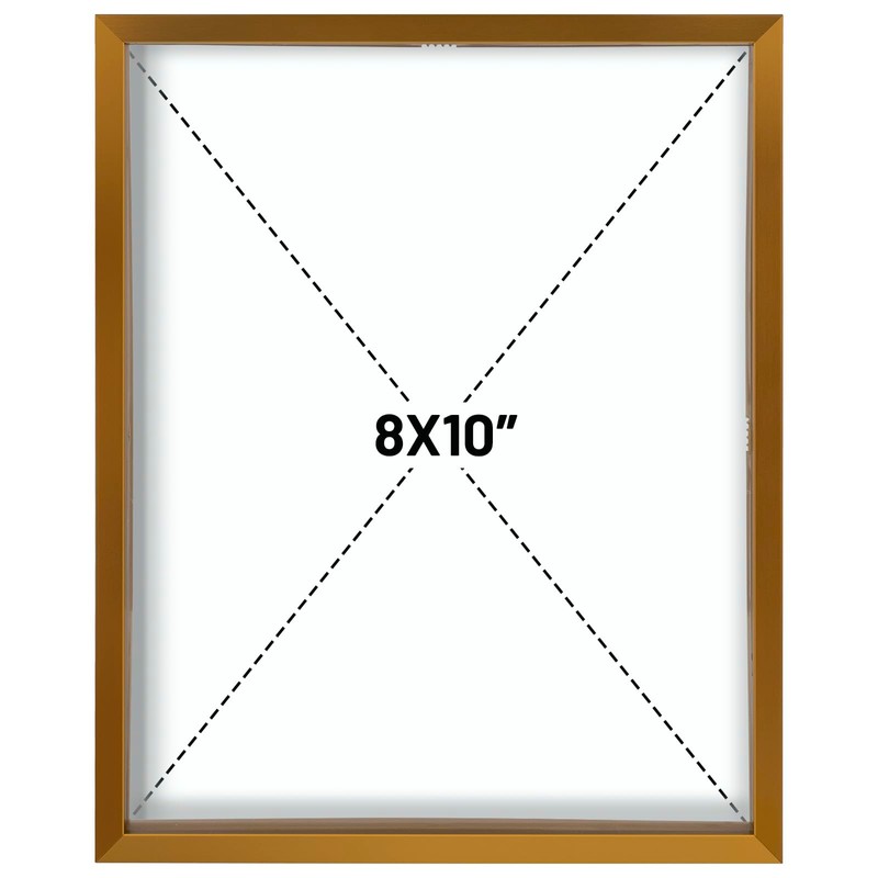 Frametory, 8x10 Floating Picture Frame - Metal Photo Frame -