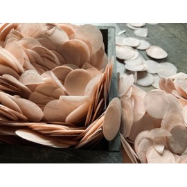 InsideMyNest Gentle Blush Round Circle Biodegradable Confetti Mix Eco Friendly (75g/2.5oz/1 Litre)