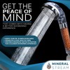 MineralStream Replacement Beads for Ionic 1.0 Shower Head | Eco