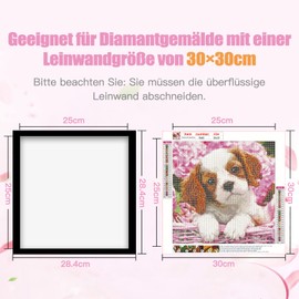 SPOKKI 4 Pack Diamond Painting Frame, Black Diamond Painting Picture Frame 30 x 30, Diamond Painting Accessories Magnetic Picture Frame for Diamond Painting Pictures