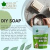 Bliss of Earth Emulsifying Wax NF Cosmetic Grade Wax Best