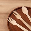 HTB Disposable Forks, 100 Pieces, 6.7 inches (17 cm), Natural