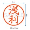 Shachihata Stamp Name 6 Correction Stamp XL - 6 Stamp