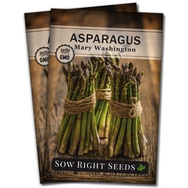 Sow Right Seeds - Mary Washington Asparagus Seed for Planting - Non-GMO Heirloom Packet with Instructions to Plant an Outdoor Home Vegetable Garden - Great Gardening Gift (2)