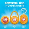 Arm and Hammer Odor Busterz Deodorizer Balls Mixed Pack: 4