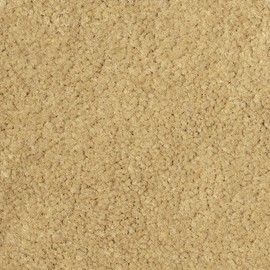 GG Bailey D4500A-S2A-BGE Two Row Set Custom Fit Floor Mats For Select Infiniti M45 Models - Nylon Fiber (Beige)