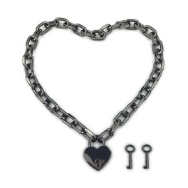 Succuba Padlock Chain Necklace Collar Choker with Two Keys and Box for Women, Men and Pet (16 Inches, E)