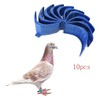 CLSSLVVBN 10x Easy To And Operate Pigeons Stand Set For