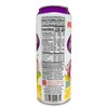 Parrot Brand Passion Fruit Juice Drink 16.4 fl. oz.（Pack of