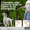 HowGo Slip Lead Dog Leash with Padded Handles | Lightweight