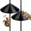 Squirrel Proof Baffle for Protecting Outside Pole Bird Feeders and