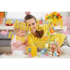 Bunny Baby Shower Party Decorations, A Little Bunny Is On The Way Banner for Spring Easter Themed Baby Girls Gender Reveal Party Supplie