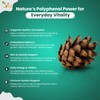 Pine Bark Extract 250 mg | 90 Vegan Capsules |