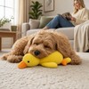 Efuwfugc 1 Count Duck Dog Toy, Duck Plush Dog Toy