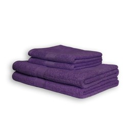 EXKLUSIV HEIMTEXTIL 2 x Wash Mitt 15 x 21 cm Purple 500 g