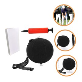 Sosoport Golf Training Ball Posture Correction Aid for Men and Women Durable Swing Trainer for Beginners Inflatable Golf Practice Tool with Pump