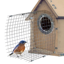 2 Pcs Blue Bird House Predator Guards, Wire Entrance Guard, Snake Guard, Birdhouse Hole Protector for Eastern Bluebird and Their Babies Safe (Square)