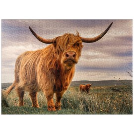 Strict Pair of Highland Cows Caught On The North Coast of Scotland - Premium 1000 Piece Jigsaw Puzzle for Adults