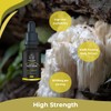 Lions Mane Supplement Liquid 1000mg - 60 Vegan Servings High