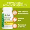 Jiva Botanicals Chanca Piedra Supplement - 550 mg per Serving