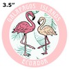 Blue Heron Two Flamingos Galapagos Islands Ecuador Car Truck Window