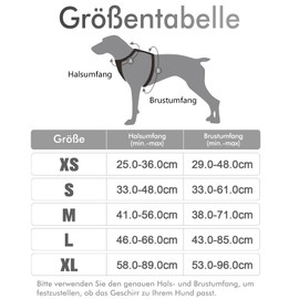 rabbitgoo Dog Harness for Medium Dogs, Anti-Pull Dog Harness with Control, No-Pull, Adjustable Harness for Large Dogs, Breathable, Reflective Stripes, Chest Harness, Dog Safe Guide, Grey, M